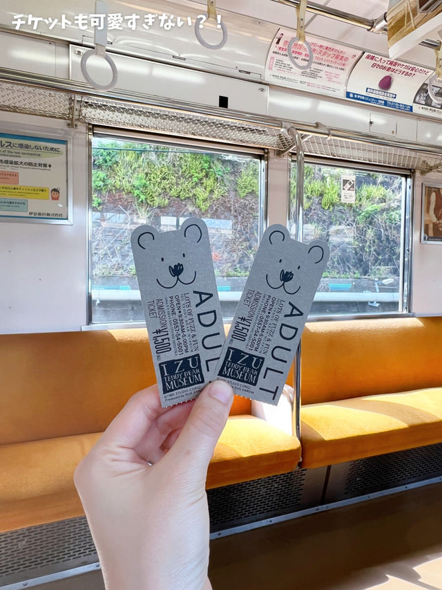 ¥3,000で食べて楽しもう！猫バスに乗りに行こう🫶