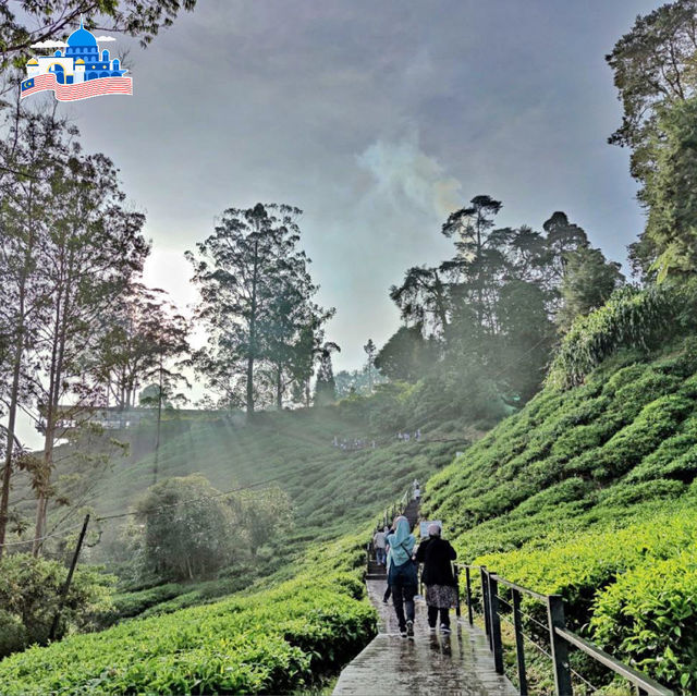 🇲🇾 Brinchang, Cameron Highlands : 2D1N Escape