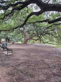 A beautiful place to relax