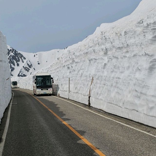 立山室堂雪之大谷，壯觀雪壁與藍天交織的冬日奇景。