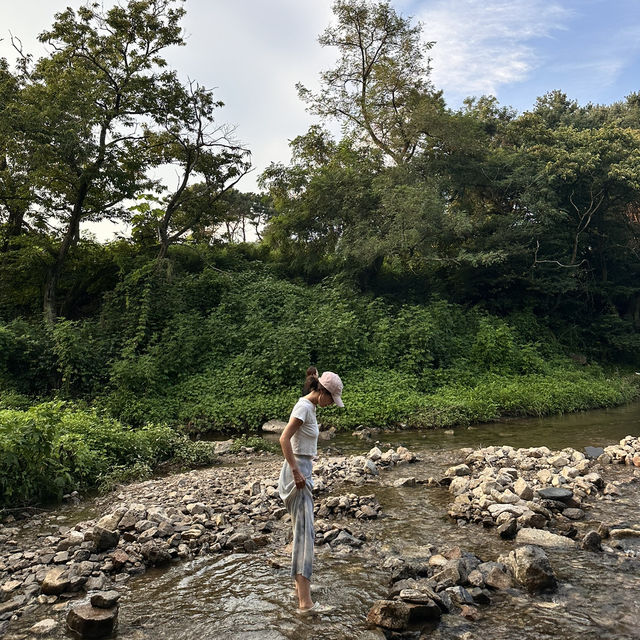 서울 근교 계곡 맛집 용인 고기리유원지💦