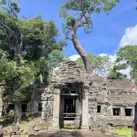 カンボジア🇰🇭〜シェムリアップ〜①