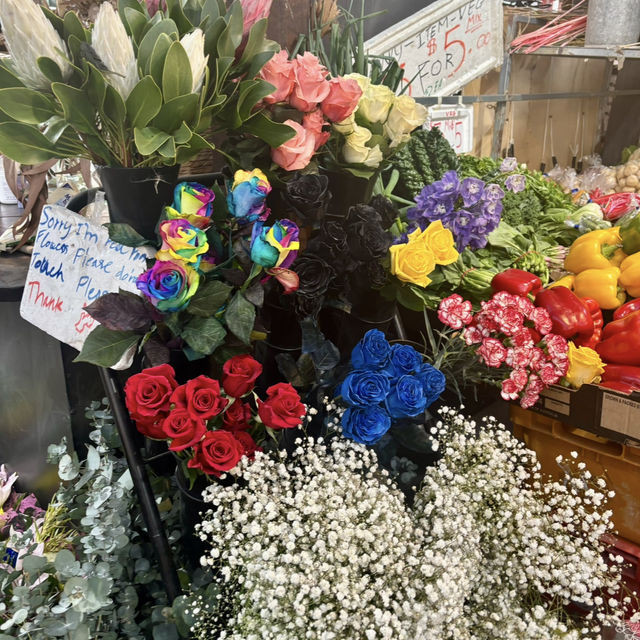 【パース🇦🇺】パース旅行の必須スポットのフリーマントル