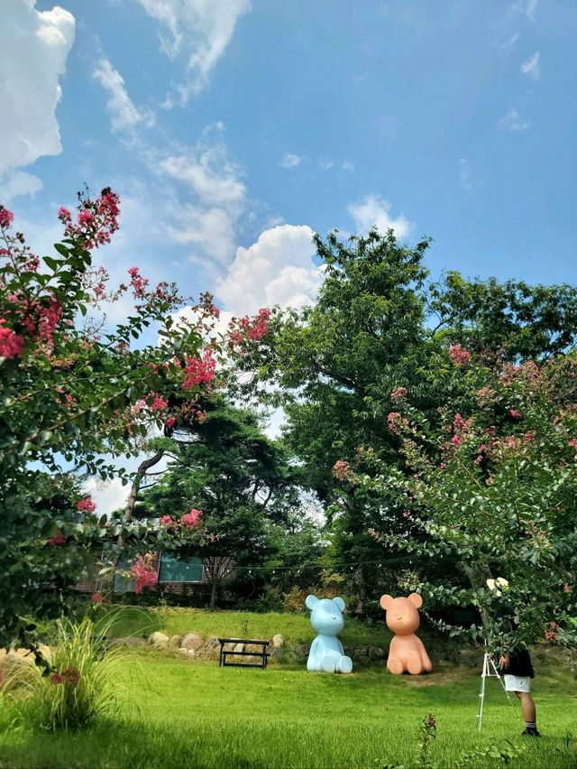 배롱나무와 유럽수국이 예쁜 장성수목원💜