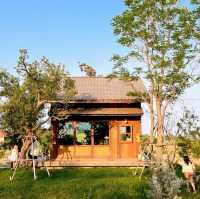 Flower shop &  Cafe 
