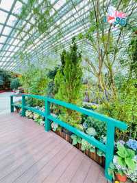 🇸🇬 Flower Dome Impressions of Monet