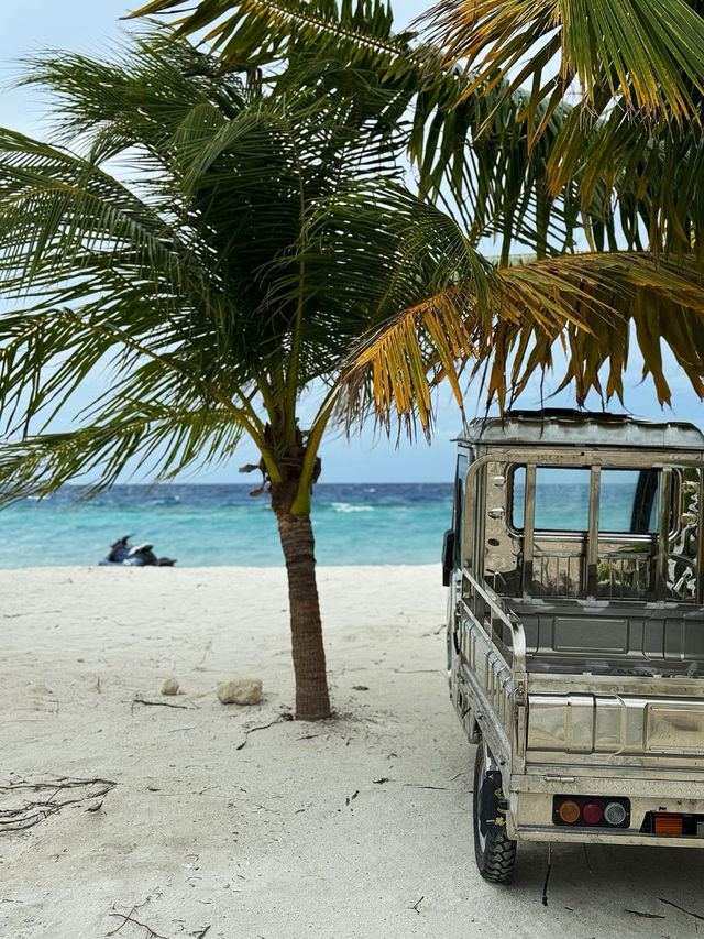 🏝️ First Time in my Life