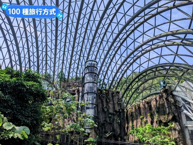 台北-大人小孩都喜歡的最佳親子景點：台北市立動物園