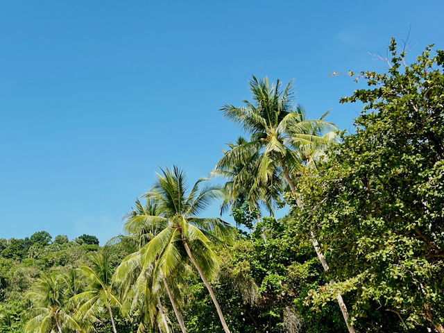 Freedom Beach phuket