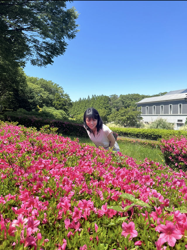 〜神奈川県〜ここが公園？花の楽園相模原公園