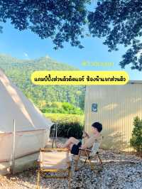⛺️🌿เขาใหญ่งบเบาๆแค่ 800.-/คน
