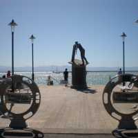 "Napier Marine Parade: Coastal Charm and Scenic Beauty in New Zealand"