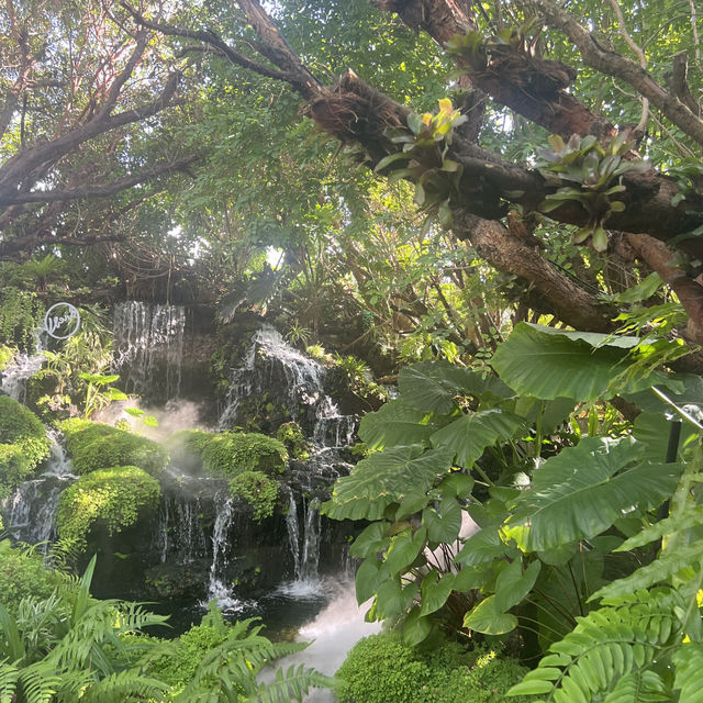 อุดร