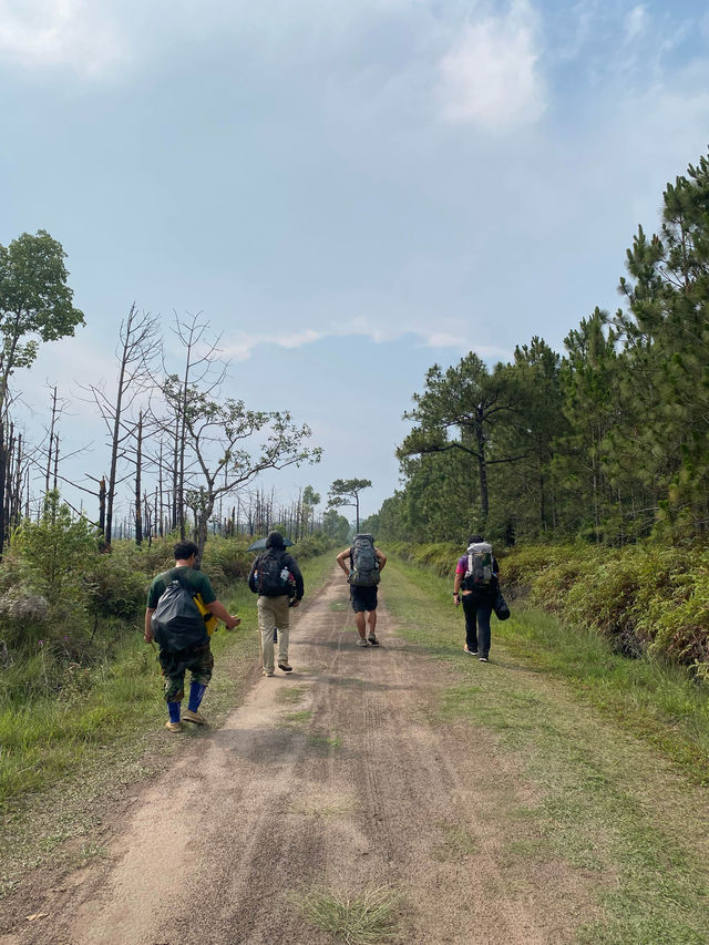 เดินป่าที่ภูกระดึง | จ.เลย 🚶🏻🌿🌳🥾