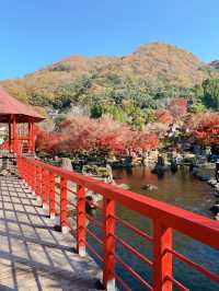 【大分観光】紅葉が人気だけど🍁四季折々の景色が見られる日本庭園🍁