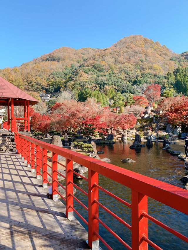 【大分観光】紅葉が人気だけど🍁四季折々の景色が見られる日本庭園🍁