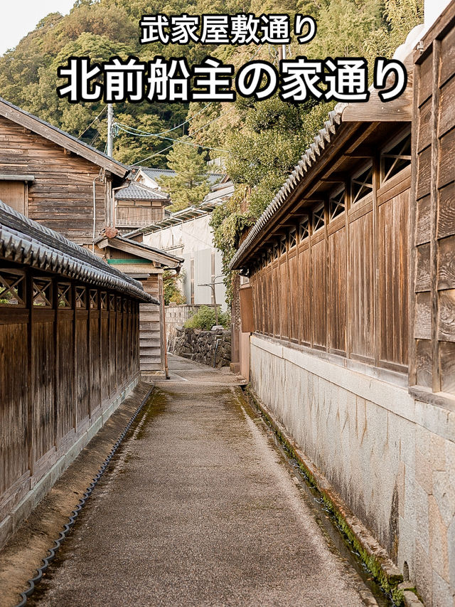 📍河野北前船主通り