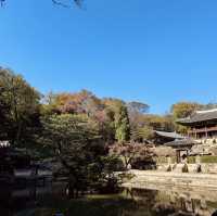 Autumn Splendor at Changdeokgung Palace