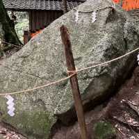 【琵琶湖の中に立つ鳥居】滋賀県の名勝・白鬚神社