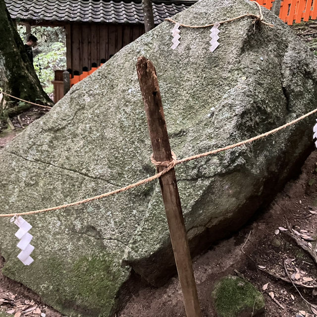 【琵琶湖の中に立つ鳥居】滋賀県の名勝・白鬚神社