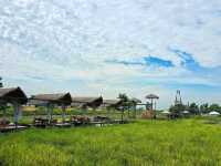 บ้านรักษ์นา ร้านอาหารไทย ในท้องทุ่งนา 