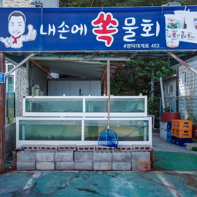 영덕 최고의 no.1 식당