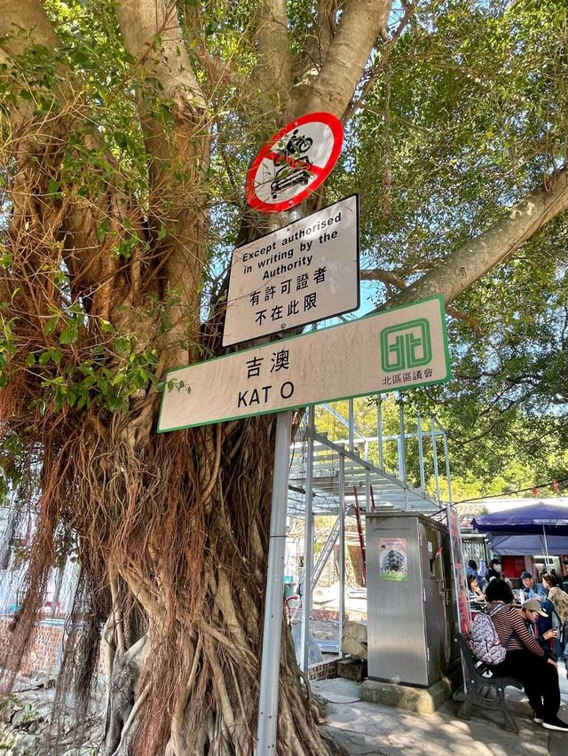 「鴨洲吉澳一日遊」：探索獨特地質景觀、品嚐手打墨魚丸，週末及假期適用