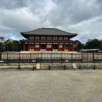 Nara Park: A Journey Through Japan’s Ancient Heart