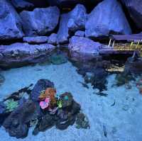 Dive Into Adventure at Aquaria KLCC: An Underwater Journey in the Heart of Kuala Lumpur