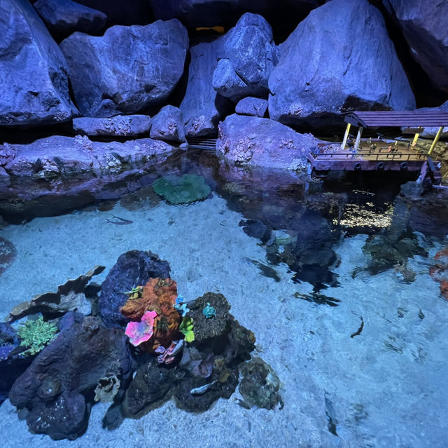 Dive Into Adventure at Aquaria KLCC: An Underwater Journey in the Heart of Kuala Lumpur
