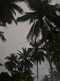 Tranquility, Spirituality, Slow Moving and Simple Life
