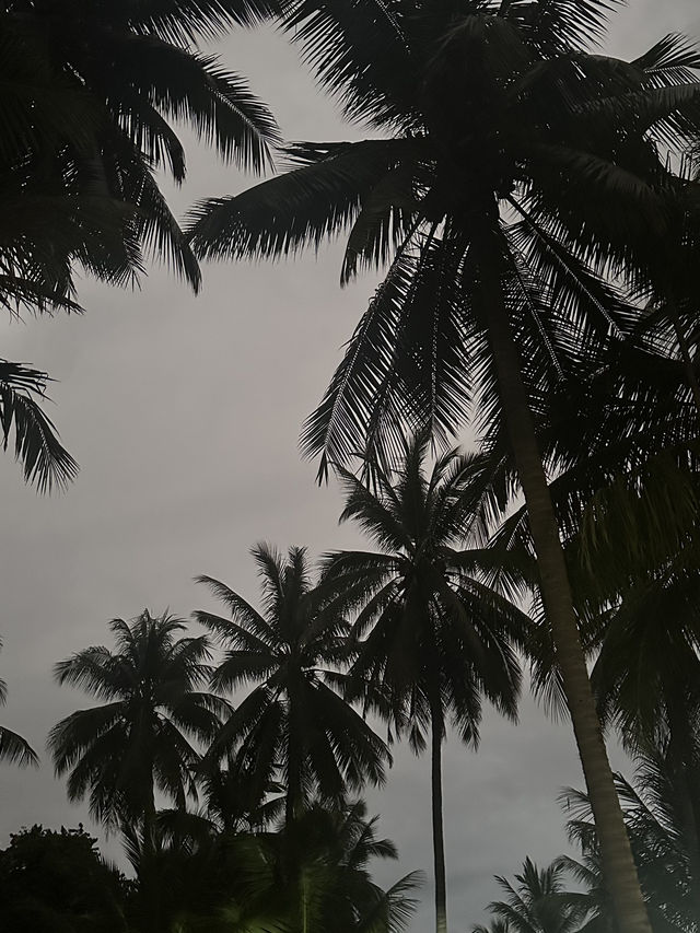 Tranquility, Spirituality, Slow Moving and Simple Life
