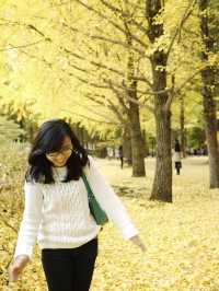 Autumn in Nami - Autumn in my heart