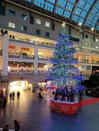 【サッポロファクトリー:北海道札幌市】毎年綺麗なクリスマスツリーが見れるよ🎄✨