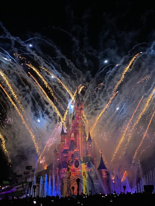 【パリ🇫🇷】3日目 ディズニーランド🎶(Dオタver)