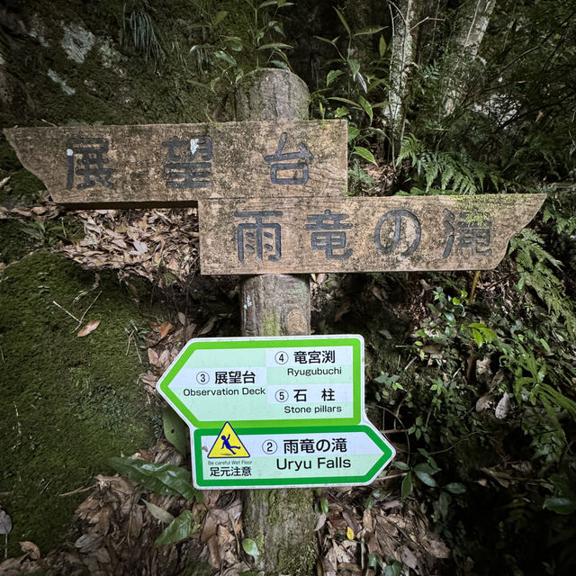尋找幸運七福神！