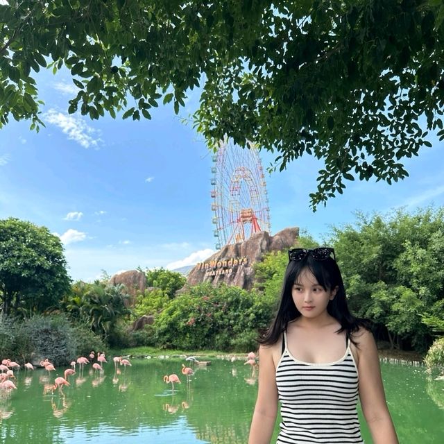 이쁜 홍학이 있는 빈원더스 나트랑 🦩