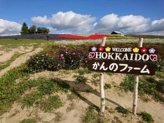 【かんのファーム：北海道上富良野】美麗花朵盛開的美麗景點