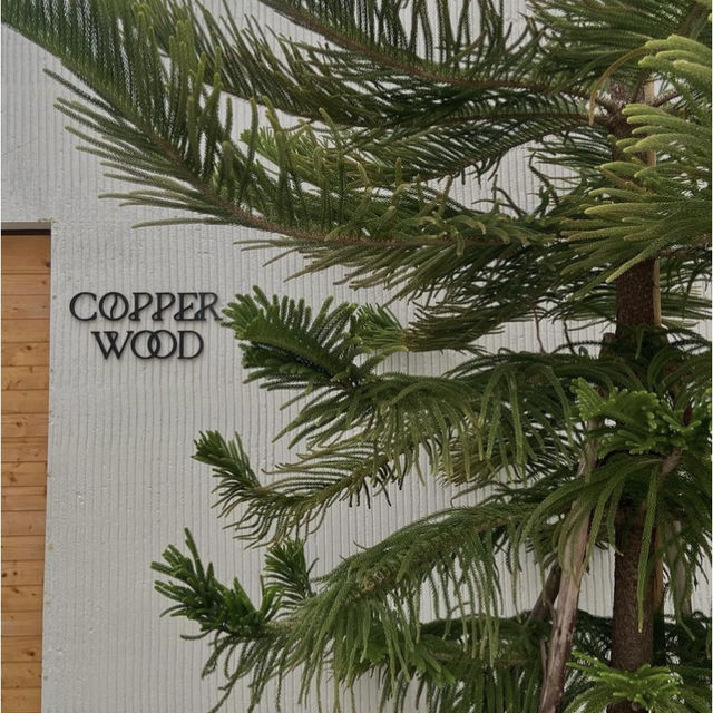 Copper Wood