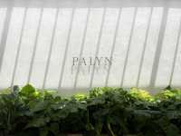 Palyn Cafe & Eatery