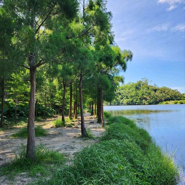 香港流水響水塘🏞丨2小時路程賞天空之鏡！