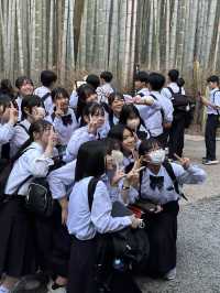 Arashiyama Bamboo Forest