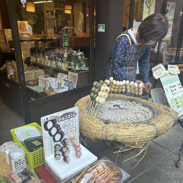 養老線の滝🌿