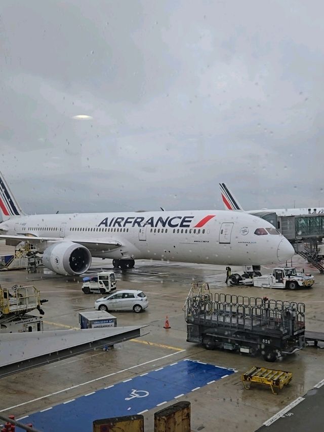 長距離でも全然楽ちん！エールフランスでヨーロッパへ