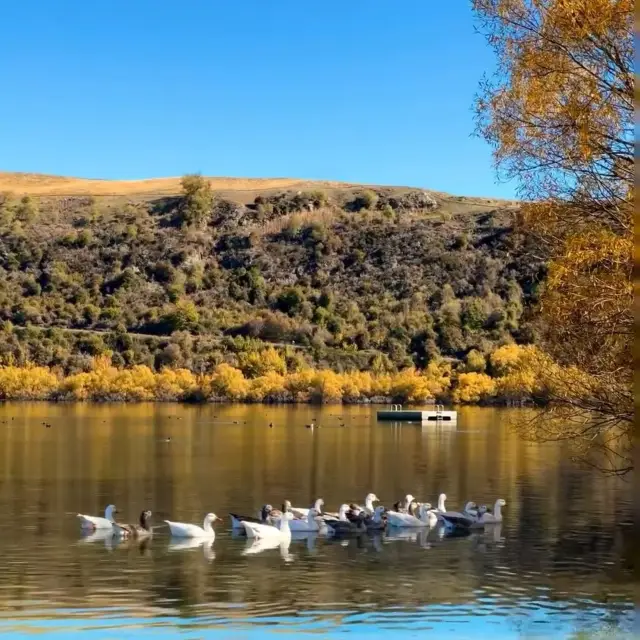 ワナカはハイキングの楽園のような場所です。