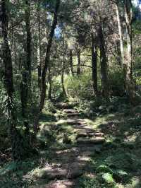 趕快來挑戰自己「陽明山東西大縱走」
