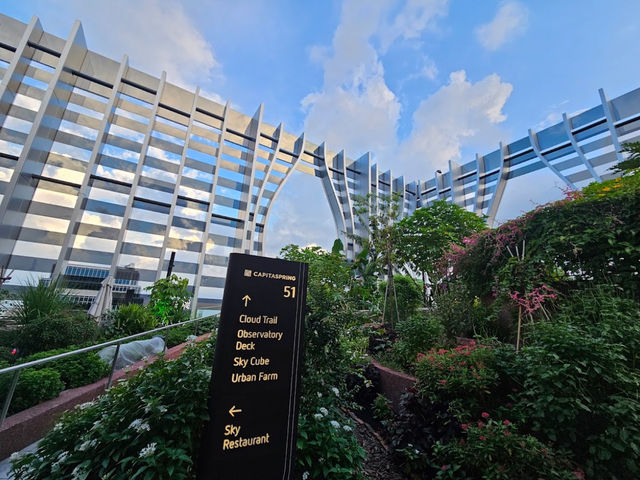 新加坡｜Sky Garden at CapitaSpring令人驚嘆的花園和觀景台