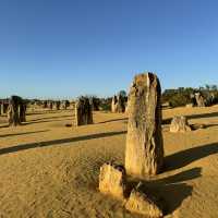  Pinnacles Desert：西澳大利亞的自然奇觀 🌵✨ 