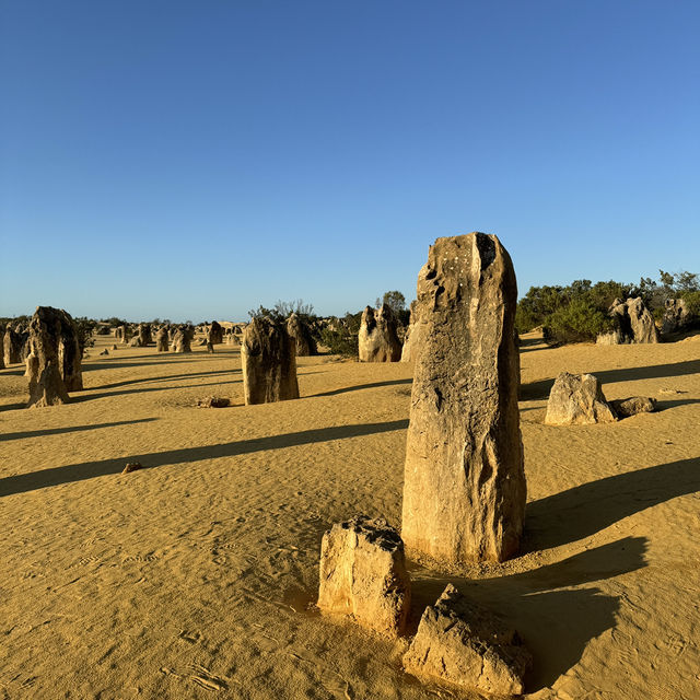  Pinnacles Desert：西澳大利亞的自然奇觀 🌵✨ 