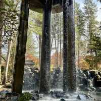 Autumn Splendor at Nami Island